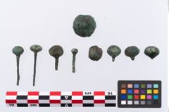 Foto von Bronzekugelkopfnadel (NHMW-PRAE-002325)